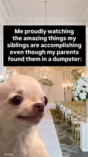 Hilarious Evil Dog Memes You Can't Miss