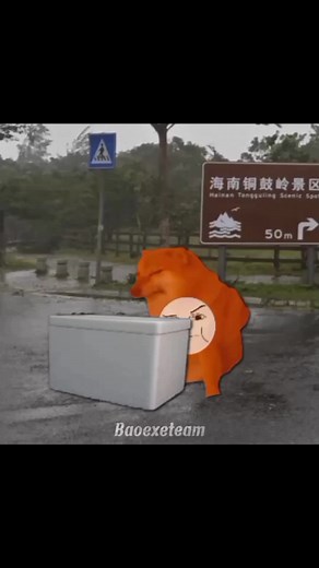 Mì Tôm Bò Khô Radio - Relaxing Cooking Video