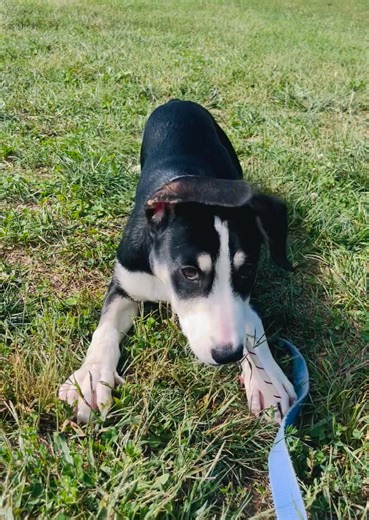 2.1K views | Heather Bauer on Reels | Facebook