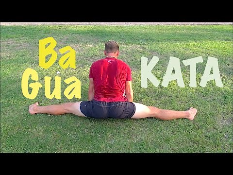 Kata like a Champion - Training with Jake Mace - Real Bagua Zhang