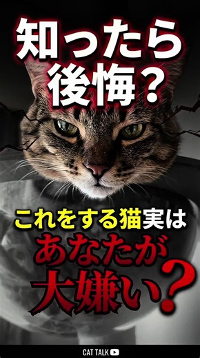知ったら後悔？これをする猫実はあなたが大嫌い #creatorsearchinsights #ペットのいる暮らし