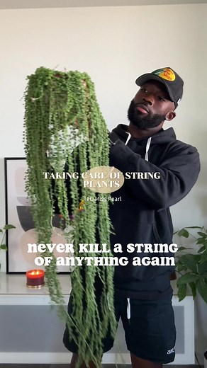 String Plants Care Tips and Tricks