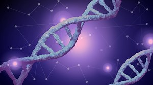 Die Ratgeber : Ahnenforschung dank DNA-Test