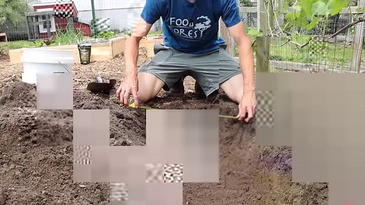 Plant asparagus once and it will feed you for the next 20 years! SUPPORT ME AND TUCK →Amazon affiliate link: https://amzn.to/2z7NIRQ →Merchandise: https://teespring.com/stores/jps-store-5 MY FAVORITE GARDEN PRODUCTS! → Birdies Raised Beds: COUPON CODE: TUCK https://shop.epicgardening.com → Coco Coir: https://amzn.to/3uAyV9J → Vermiculite: https://amzn.to/3uytOXJ →Perlite: https://amzn.to/33uUJHQ →Mykos Pure Mycorrhizal Inoculant: https://amzn.to/2WCZfRX →6 Mil Greenhouse plastic: https://amzn.to