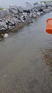 2.9K reactions · 45 shares | I am still waiting for this to happen again. #throwback #throwbackmemories #crabs #bluecrabs | Lance Billiot | Facebook