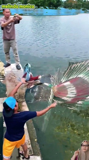😱 WOW AMAZING!! Angler Ini Keren, Sekali Jala Langsung Dapat Ikan Raksasa! 🎣🐟 #shorts