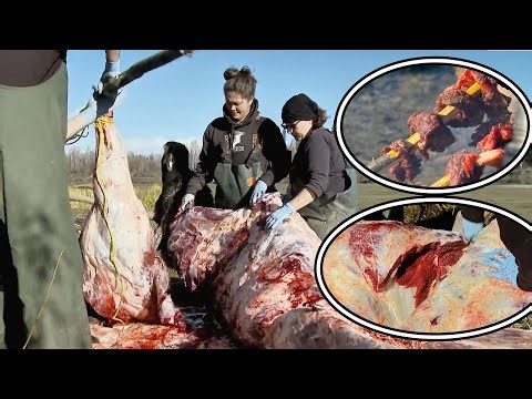 A Woman Easily Captured A Moose Weighing Over A Thousand Pounds To Prove Her Survival Skills.