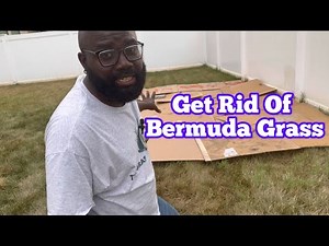 Destroy Bermuda Grass with Cardboard in Your Yard-Eco-Friendly Method