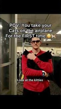 We will bring our 6 cats to somewhere cool next time! 🫶🏻 #pov #cat #catmom