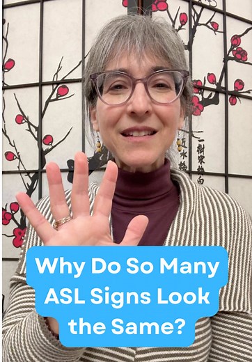 Unlock ASL: 5 Parameters to Tell Signs Apart