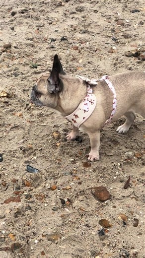 Busy morning at the beach