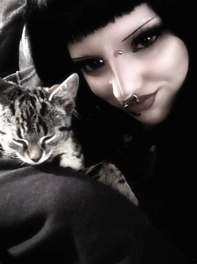 chilli😊 #fyp #alt #kitty