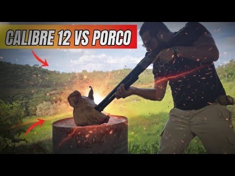 Calibre 12 Vs Cabeca de porco 🤔