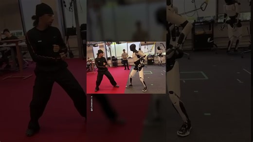 Tesla’s Optimus robot learns kung fu with improving precision