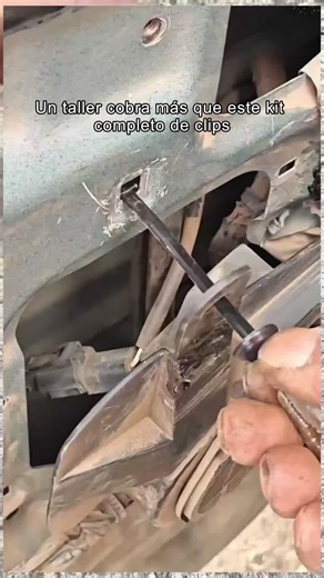 Don't Waste Money at Auto Shops: Here's What You Need to Know