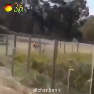 Créditos a quien corresponda 😎👌 | Coco Bandicoot