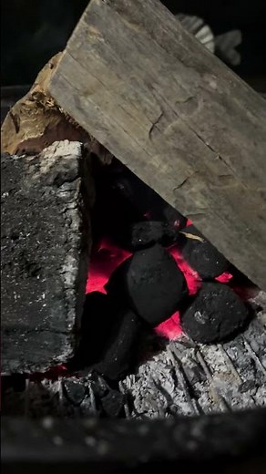How to Start a Wood Fire 🔥 | Simple Fire-Building Method #Shorts #Fire #Firewood