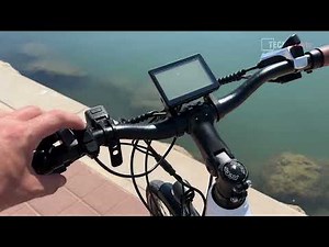 ELEGLIDE T1 Step-Thru Electric Bike