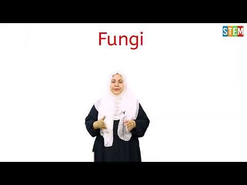 Science 7 class Ch no 3 Immune System Topic Pathogens