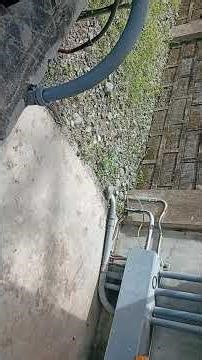 #snake #Philippineratsnake #animals #reptiles