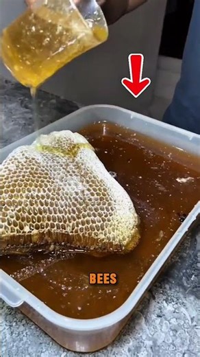 How Honey Is Perfectly Made by Bees