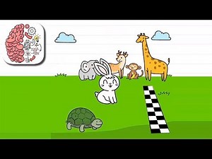 Как пройти Brain Test 204 уровень Черепашка должна выиграть гонку.