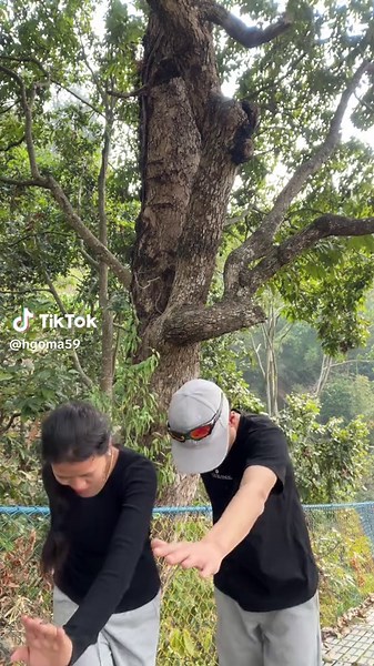 Funny Ding Dong Sound Effects Compilation