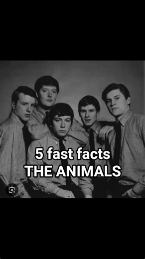 5 Fast Facts: The Animals 🐾🎸