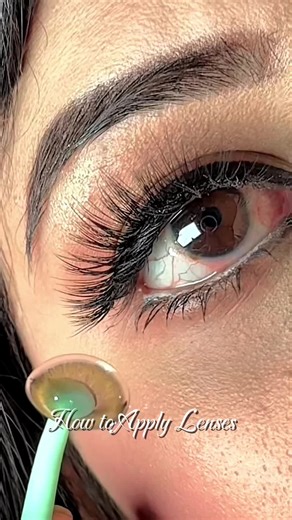 Comprehensive Lenses Tutorial for Photography Enthusiasts