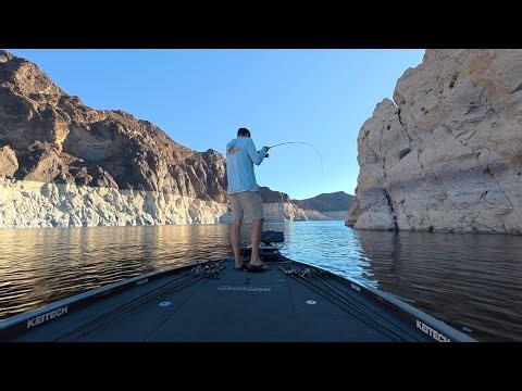 Lake Mead Fishing Report • What’s Happening RIGHT NOW!