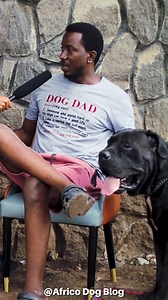 5.4K views · 227 reactions | When @his_kennels explained how he deals with losses in breeding.. As a dog lover breeder/lover do you also buy 2 or more dogs after a loss or we should mind our business? #dogbreeding #rottweiler #boerboels #k9 #bigdogs #africodogblog | Africo Dog Blog | Facebook