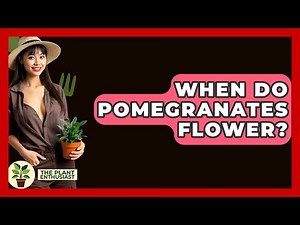 When Do Pomegranates Flower? - The Plant Enthusiast