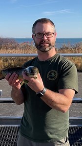 77K views · 1.7K reactions | We'll let our fisheries research...