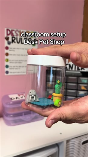 Desk Pets Ideas for Classroom Excitement