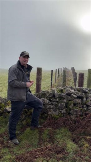 178K views · 8.8K reactions | Farmer James' farm is home to thousands of wildlife species曆缾 He tells us how he creates habitats that encourage biodiversity #BackBritishFarming #Wildlife #Hedges #Trees #Nature #NFU | Back British Farming NFU | Facebook