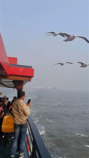 My Morning on the Arabian Sea! #shorts #travel #joejaytheexplorer #youtubeshorts