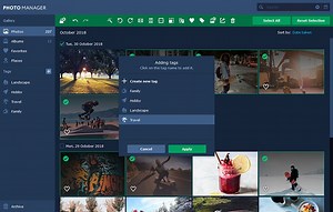 Movavi Photo Manager - Organize Photo Collections Instantly