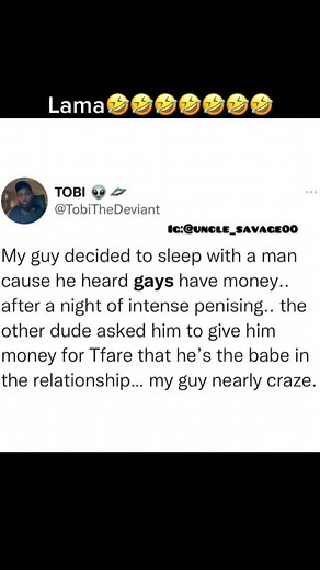 Hilarious Lama Moments That Will Make You Laugh