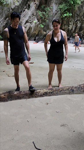 267 reactions · 13 shares | Highly venomous yellow lipped sea krait snake inside the Emerald Cave on Koh Mook. #seasnake #krait #snake #wildlife #kohmook #trang #Thailand | Bill Driskill | Facebook