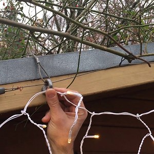 Einfach die einfachste Art, Lichterketten sicher anzubringen: | ARD Food