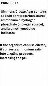 Citrate Utilization Test Explained in 60 Seconds | IMViC Test