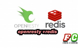 【nginx】openresty redis