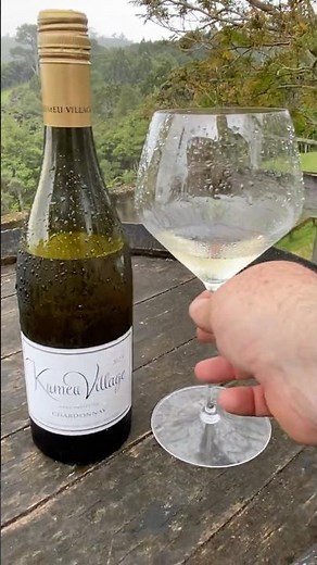 Tasting Kumeu River's Kumeu Village Chardonnay 2025 in the rain! #dcamw #wine #winetasting #kumeu