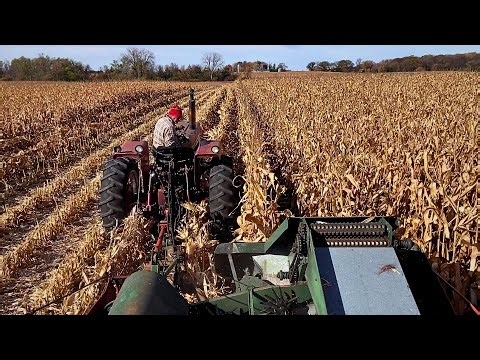 Picking Corn - One Crib-Full, Please