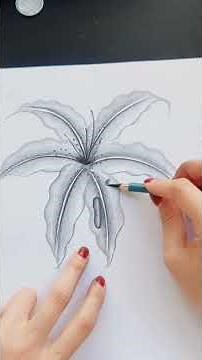 Charcoal Drawing Tutorial: Learn Charcoal Drawing Step by Step #drawing