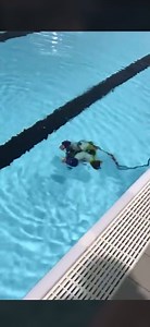 "First time in the pool🙌💪 some improvements needed..." - @T3 Robotics on Twitter Post your competition progress and tag us @matecenter on Facebook and Twitter! #watergame | MATE ROV Competition