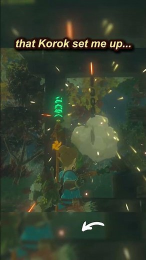That Korok Set Me Up #totk #zelda