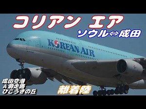 【4K】成田空港 ひこうきの丘 大韓航空 超巨大旅客機エアバスA380 ソウル⇔成田 離着陸