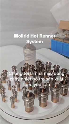 Molirld Hot Runner System #injection #mould #hotrunner#moldingAcceptable custom hot runner solutions