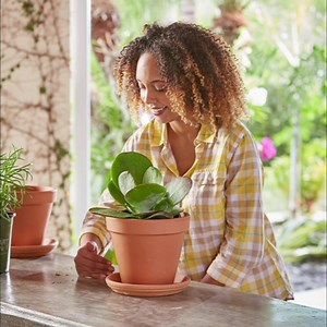 106 reactions · 14 shares | Take on an easy spring project for your space. No green thumb required. | The Home Depot | Facebook